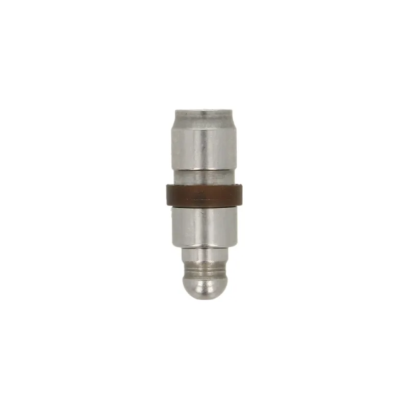 Tachet hidraulic INA 420025410 VAG EA211/EA888 1.0-2.0 TSI