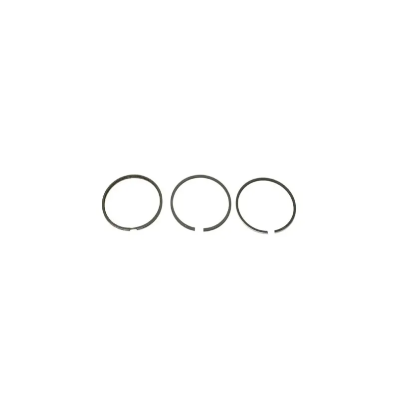 Segmenți Volkswagen 1X 1Y 3D 2.4 79.5mm STD [028 198 151 B]
