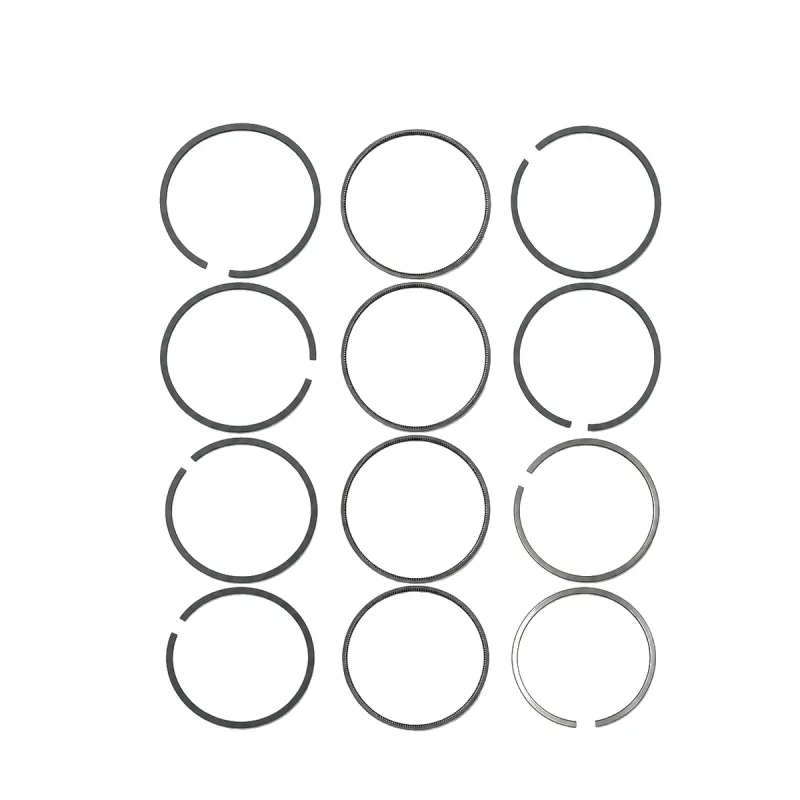 Segmenți Ford DW10CD (AHZ) (Euro 5) DW10CTED4 (RHD) DW10CTED4 (RHD) (Euro 4) 85mm STD